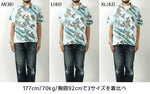 Load image into Gallery viewer, SUN SURF SS39461 SPECIAL EDITION Japanese design Katsushika Hokusai - Turtle
